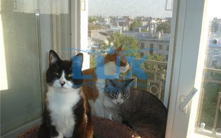 металлическая сетка антикошка - фото № 2