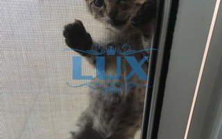 металлическая сетка антикошка - фото № 15