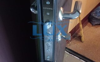 тамбурная дверь эконом класса с раздельной ручкой